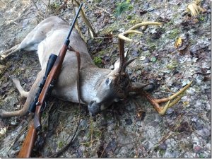 deer_w_rifle